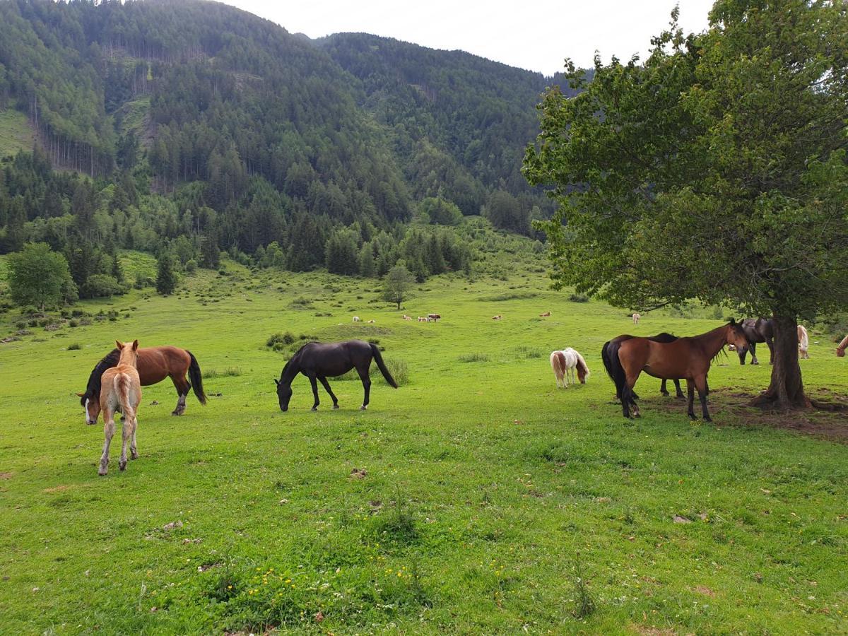 Pongitzerhof Matrei in Osttirol Exterior foto